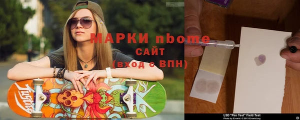 стаф Алексин