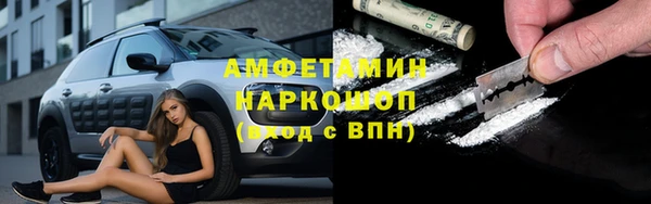 стаф Алексин