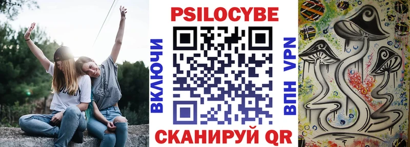 Псилоцибиновые грибы прущие грибы  Бабаево 